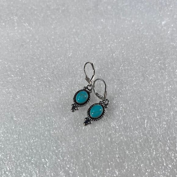 Sterling Silver Oval Turquoise Timeless New Deadstock Earrings - Picture 7 of 15